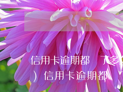 信用卡逾期都還了多久還能申請(qǐng)(信用卡逾期都還了多久還能申請(qǐng)車貸)