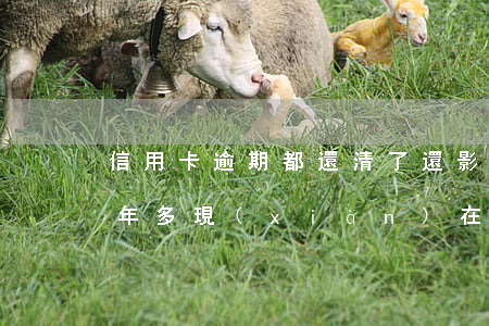 信用卡逾期都還清了還影響(我信用卡逾期一年多現(xiàn)在還掉了還可以用嗎)