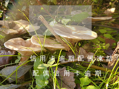 信用卡逾期配偶凍結(jié)(公積金貸款配偶信用卡逾期)