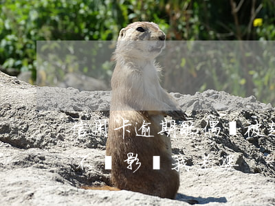 信用卡逾期配偶會被起訴嗎(我信用卡逾期會不會影響我老婆)