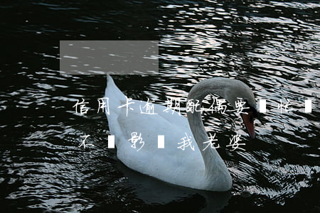 信用卡逾期配偶要幫忙還嗎(我信用卡逾期會不會影響我老婆)