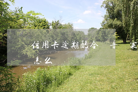 信用卡逾期配合錄音備案(信用卡逾期備案了怎么辦)