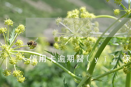 信用卡逾期醫(yī)保卡錢被扣