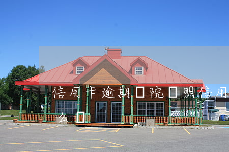 信用卡逾期醫院證明(信用卡逾期醫院證明怎么寫)