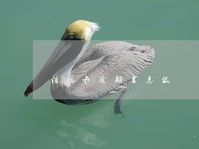 信用卡逾期里怎么辦