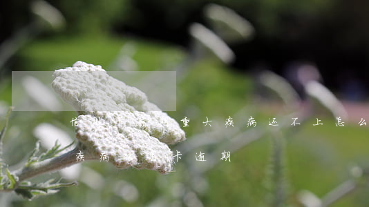 信用卡逾期重大疾病还不上怎么办-因重大疾病信用卡逾期