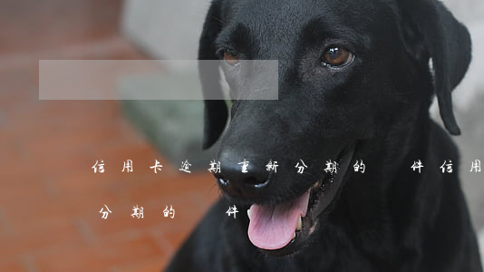 信用卡逾期重新分期的條件(信用卡逾期重新分期的條件)