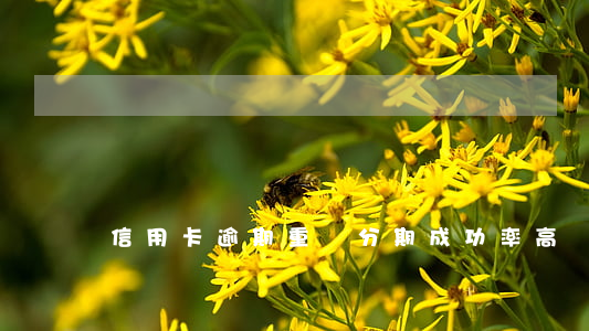 信用卡逾期重組分期成功率高嗎 信用卡分期