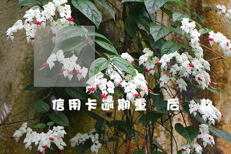 信用卡逾期重組后還款