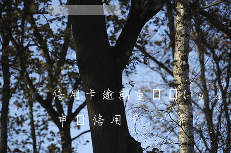 信用卡逾期重開(嚴(yán)重逾期還清后申請信用卡)