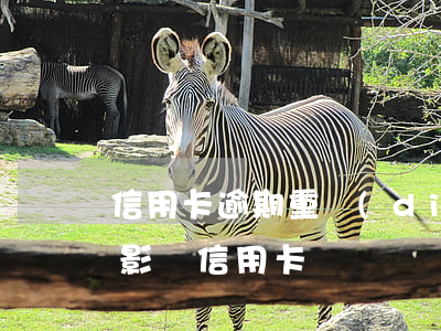 信用卡逾期重點(diǎn)例子(逾期一次影響信用卡)