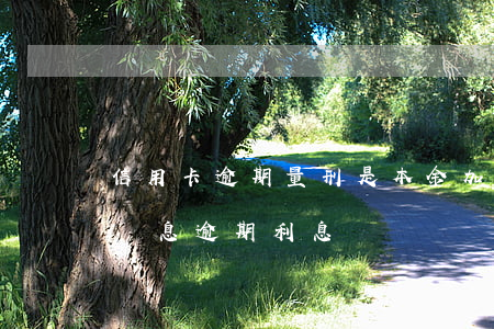 信用卡逾期量刑是本金加利息嗎(信用卡 逾期罰息 逾期利息)