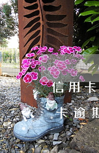 信用卡逾期量刑規(guī)定 因服刑信用卡逾期了,會加重刑期嗎?
