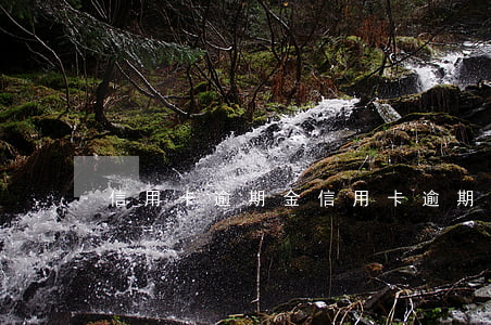 信用卡逾期金 信用卡逾期金额计算