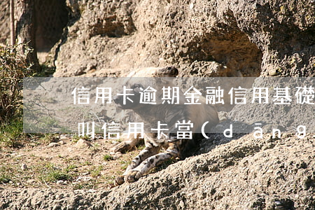 信用卡逾期金融信用基礎(chǔ)庫(什么叫信用卡當(dāng)前逾期)