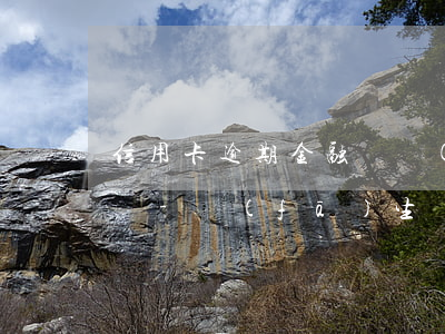 信用卡逾期金融機構(gòu)負(fù)債-發(fā)生過信用卡逾期