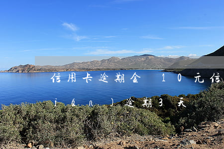 信用卡逾期金額10元(信用卡10塊錢(qián)逾期3天)
