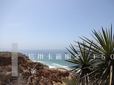 信用卡逾期金額1500(信用卡逾期金額立案標準)