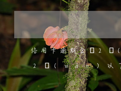 信用卡逾期金額2萬(wàn)征信(信用卡2萬(wàn)以下逾期沒(méi)還什么后果)