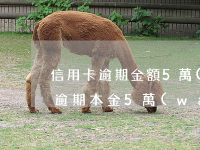 信用卡逾期金額5萬(wàn)以下(信用卡逾期本金5萬(wàn)以下)