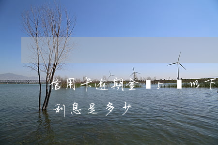 信用卡逾期金額5萬以下(五萬元信用卡逾期利息是多少)