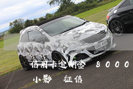 信用卡逾期金額8000(信用卡逾期金額很小影響征信嗎)