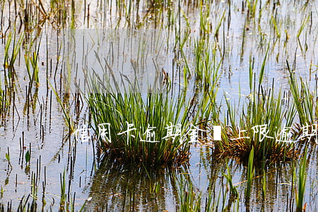 信用卡逾期金額上限(逾期金額是什么意思)