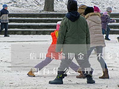信用卡逾期金額不多怎么辦(今年的信用卡逾期有什么處理)