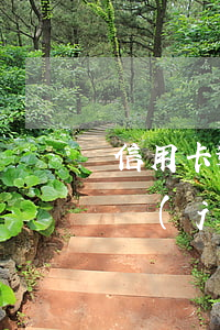信用卡逾期金額不大 信用卡逾期金額不大,已經(jīng)被銀行做呆賬處理怎么辦