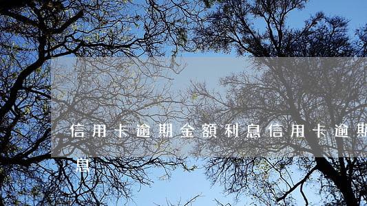 信用卡逾期金額利息(信用卡 逾期罰息 逾期利息)