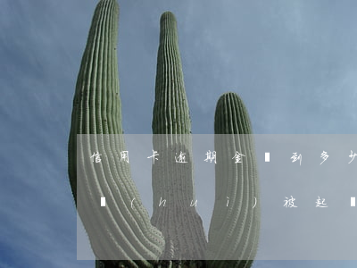信用卡逾期金額到多少起訴(“信用卡逾期多久會(huì)被起訴”)
