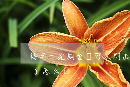 信用卡逾期金額可以刷出來嗎(刷信用卡超額了怎么辦)