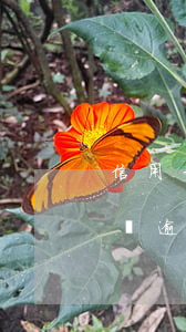 信用卡逾期金額可以減免嗎(網(wǎng)貸逾期費(fèi)用可以減免嗎)