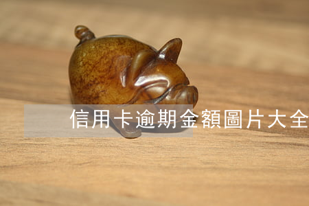 信用卡逾期金額圖片大全-信用卡 逾期 費用