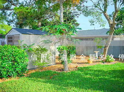 信用卡逾期金額多久停滯(銀行卡信用卡逾期)