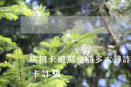 信用卡逾期金額多大算詐騙(多少金額算信用卡詐騙)