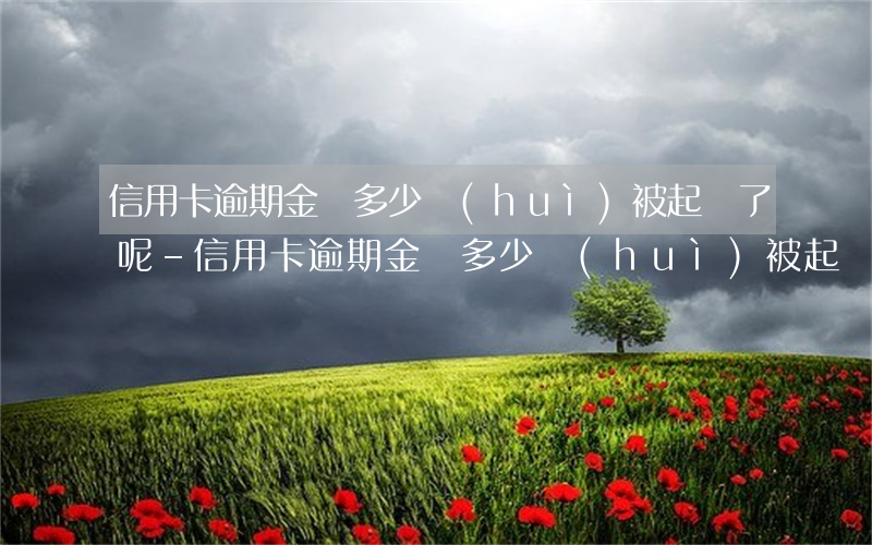 信用卡逾期金額多少會(huì)被起訴了呢-信用卡逾期金額多少會(huì)被起訴了呢怎么辦