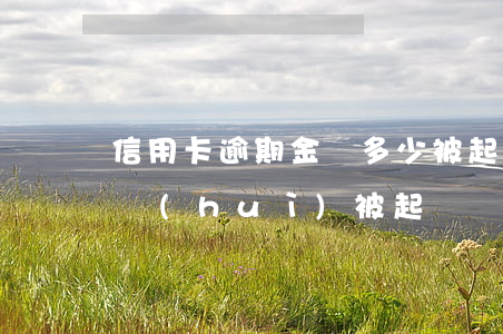 信用卡逾期金額多少被起訴(“信用卡逾期多久會(huì)被起訴”)