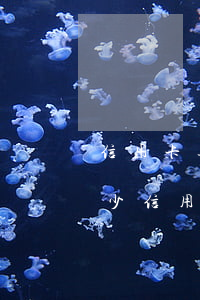 信用卡逾期金額多少達(dá)到起訴(有多少信用卡逾期)