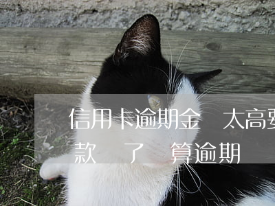 信用卡逾期金額太高要還么(把信用卡最低還款還了還算逾期嗎)