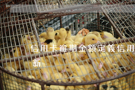 信用卡逾期金額定義(信用卡逾期金額定義最新)