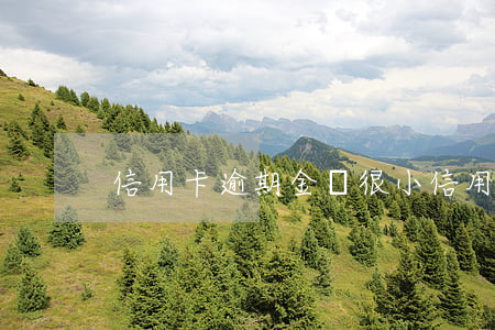 信用卡逾期金額很小(信用卡逾期金額很小)