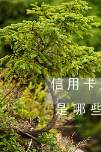 信用卡逾期金額指的是(信用卡逾期金額指的是哪些)