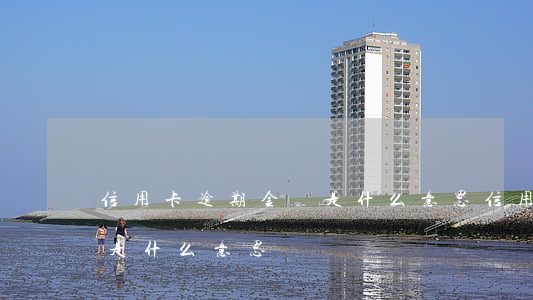 信用卡逾期金額是什么意思(信用卡逾期金額是什么意思)