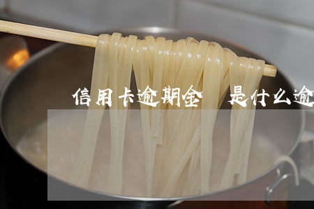 信用卡逾期金額是什么(逾期金額是什么意思)