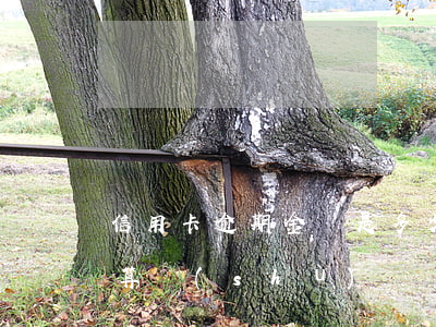 信用卡逾期金額是多少錢(信用卡逾期多少錢算數(shù)額較大)