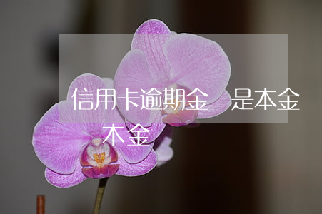 信用卡逾期金額是本金嗎(信用卡逾期利息超過本金)