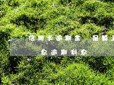 信用卡逾期金額是算上利息嗎-信用卡 逾期罰息 逾期利息