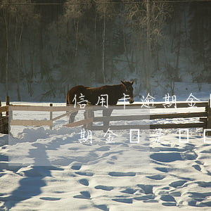 信用卡逾期金額是賬單總欠款嗎-信用卡逾期金額是賬單總欠款嗎怎么辦