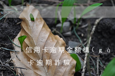 信用卡逾期金額構(gòu)成欺詐-信用卡 逾期 詐騙